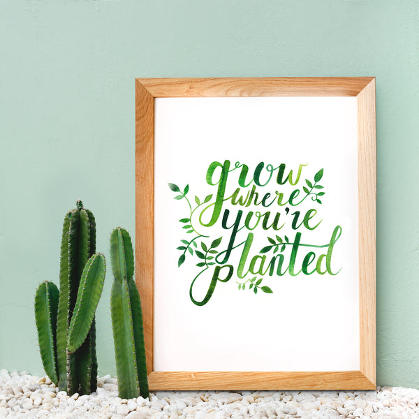 Grow Where You're Planted: Print